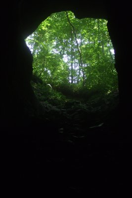 DSCF1266.JPG