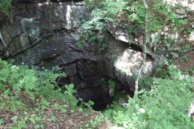 DSCF1269.JPG