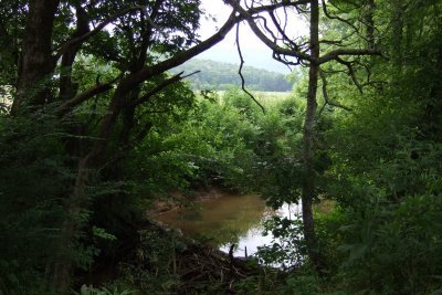 DSCF1271.JPG
