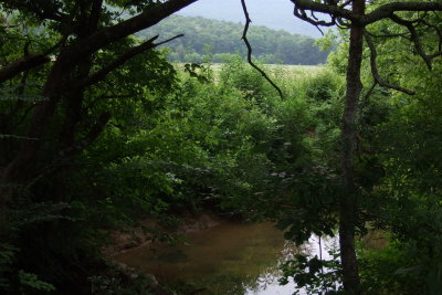 DSCF1272.JPG