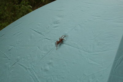 DSCF1311.JPG