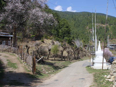 The main (only) east-west road, Zungney, Bhutan