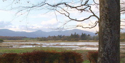 Wards Pond and the Glen Luss hills