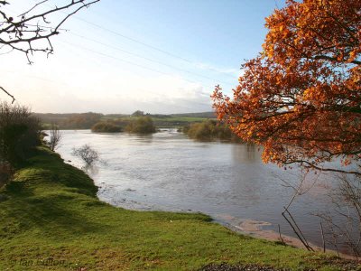 River Clyde at Carbarns Haugh