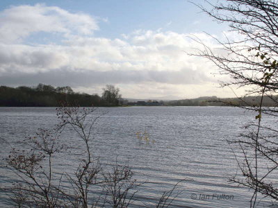 Carbarns Haugh completely submerged