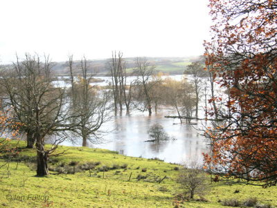 The river from Easterbraes field