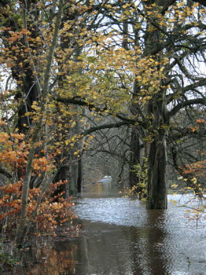 The Chestnut Walk, Baron's Haugh