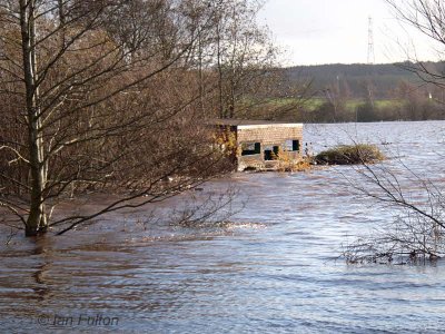 The Marsh Hide, Baron's Haugh