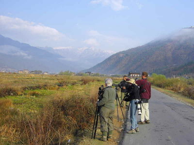 Birding in the Paro valley, Bhutan