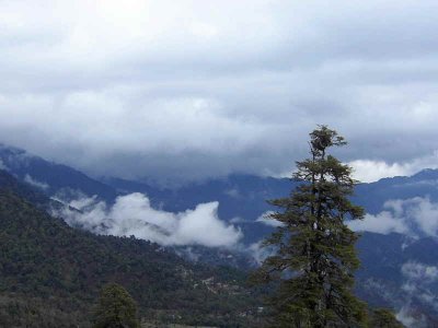 Snow shower clearing from the Dochu la, Bhutan