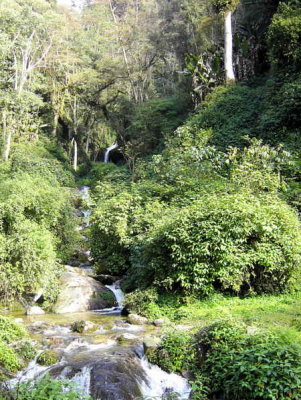 A side stream, Mo Chhu valley, Bhutan