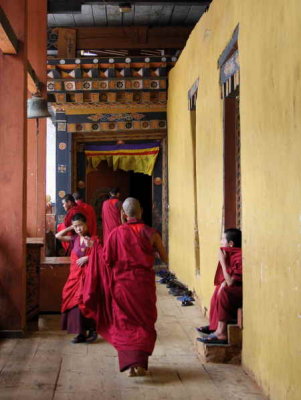 Bhuddist monks, Punakha Dzong