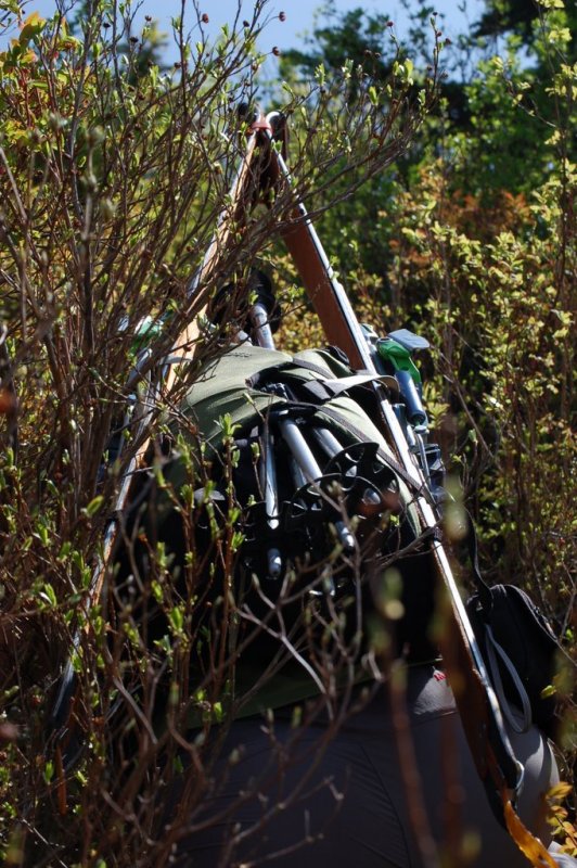 deep in the thicket of it