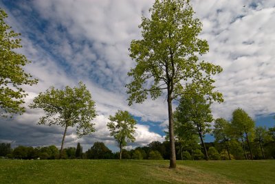 Jericho Park