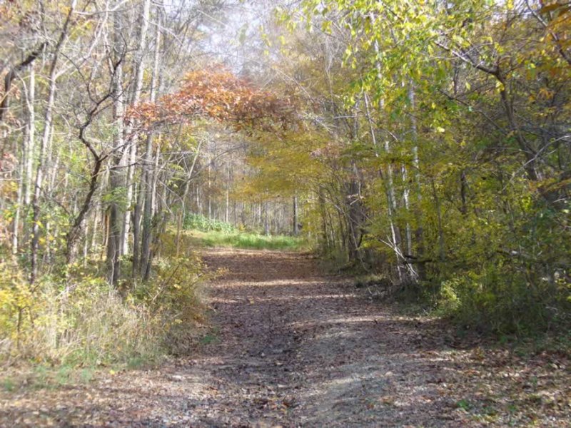 P1020390.jpg