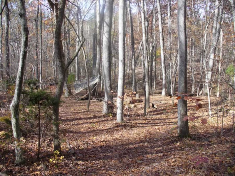 P1020391.jpg