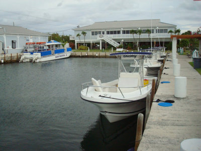 DSC02162.jpg