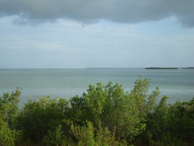 DSC02195.jpg
