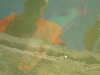 DSC02225.jpg