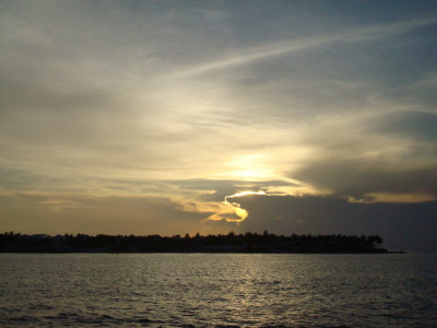 DSC02312.jpg
