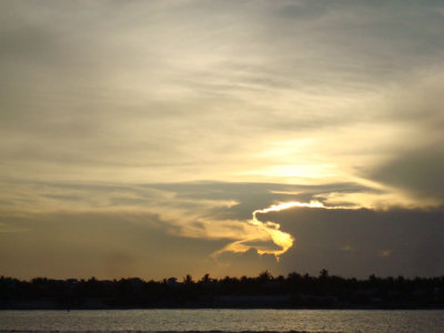 DSC02313.jpg