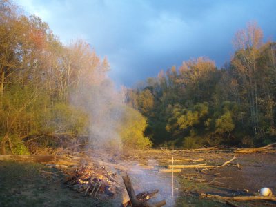 Burning Driftwood.jpg
