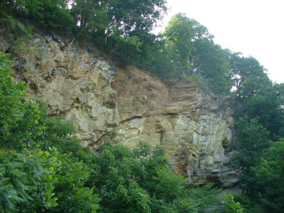 P1000922.jpg