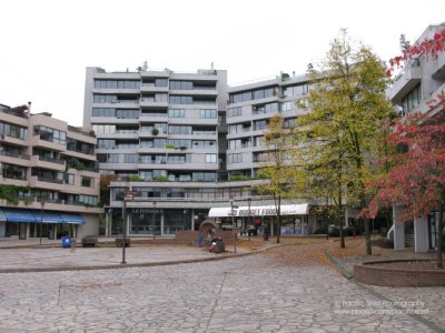 Leg-in-Boot Square, False Creek