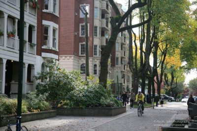 A leafy car-free stretch of Bute Street, West End