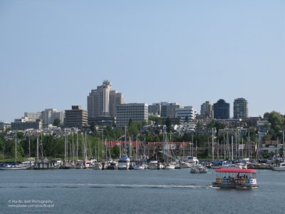 An Aquabus speeding along False Creek