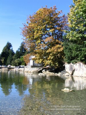 Autumn in Eagle Harbour