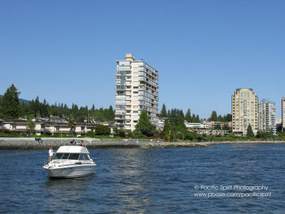 g5/11/736911/3/98997779.CE6p8Mzj.jpg