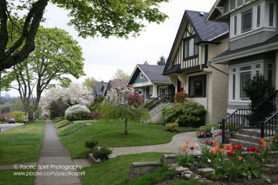 West 16th Avenue, Vancouver's West Side