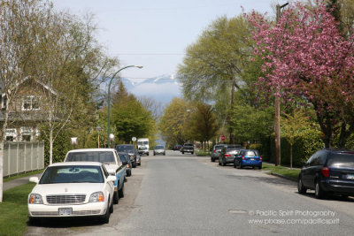 Trimble Street in Point Grey, Vancouver