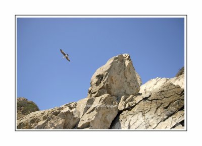 _D2H0062.jpg