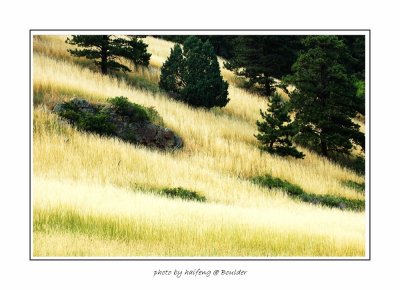 DSC_0310.jpg