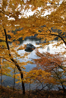 foilage-0252.jpg