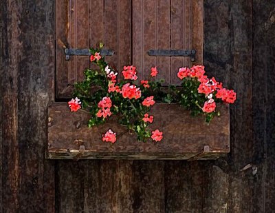 Flower box