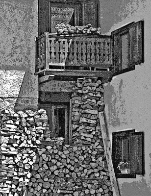 Wood for winter, Italian Alps