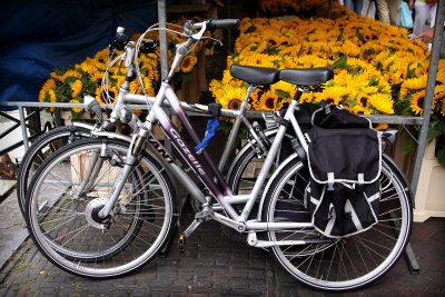 fietsen en bloemen.jpg