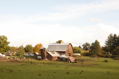 Oct 17 09 Barn and Animals-002-2.jpg