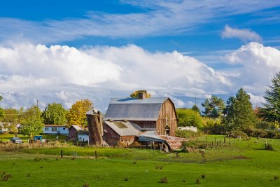 Oct 17 09 Barn and Animals-002-3.jpg