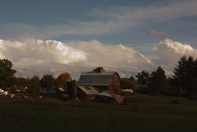 Oct 17 09 Barn and Animals-002-4.jpg