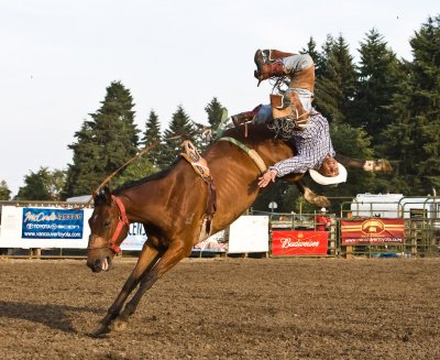 Bucking Broncos at The Vancouver Rodeo, July 3 08