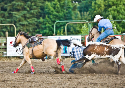 July 3 08 Vancouver Rodeo-375.jpg
