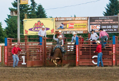 Vancouver Rodeo Bull Riding, July 3 08