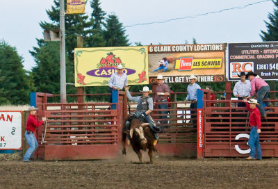 July 3 08 Vancouver Rodeo-482.jpg