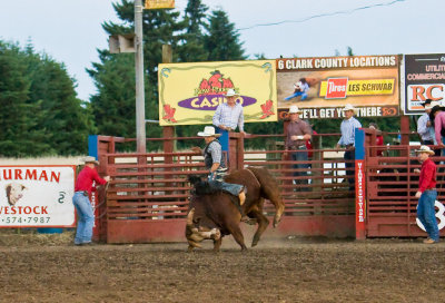 July 3 08 Vancouver Rodeo-484.jpg