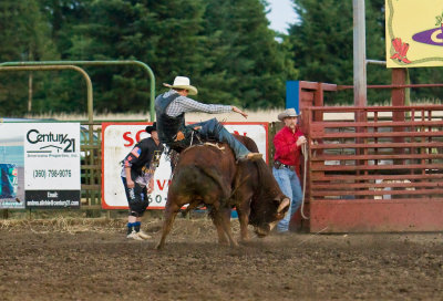 July 3 08 Vancouver Rodeo-488.jpg