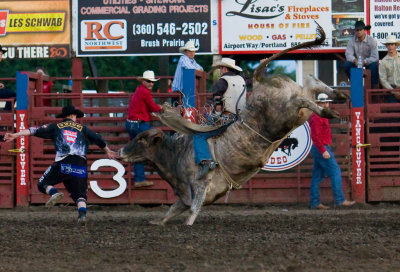 July 3 08 Vancouver Rodeo-505.jpg